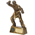 martial arts trophies